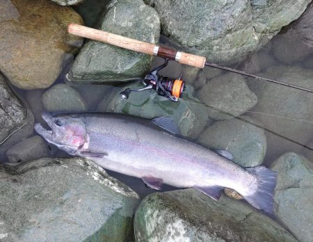 天竜川ルアーフライ専用区